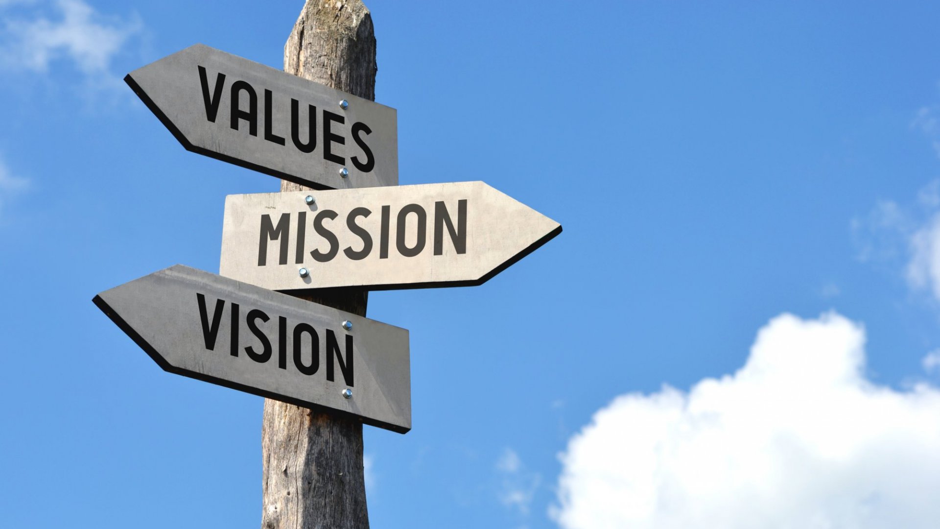 Our Purpose